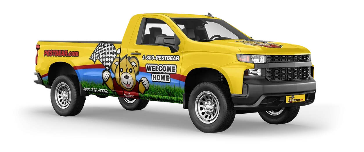 PestBear Truck